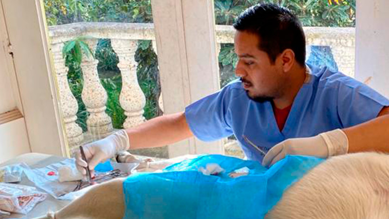 En 2022, SSM realizó más 17 mil esterilizaciones caninas y felinas 