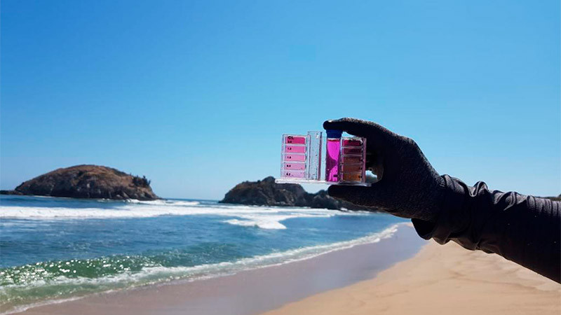 Playas michoacanas sin riesgos para la salud de la población 