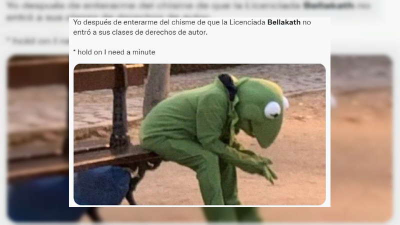 “Gatita”, de la denuncia por "robo", a la baja de plataformas musicales por plagio 