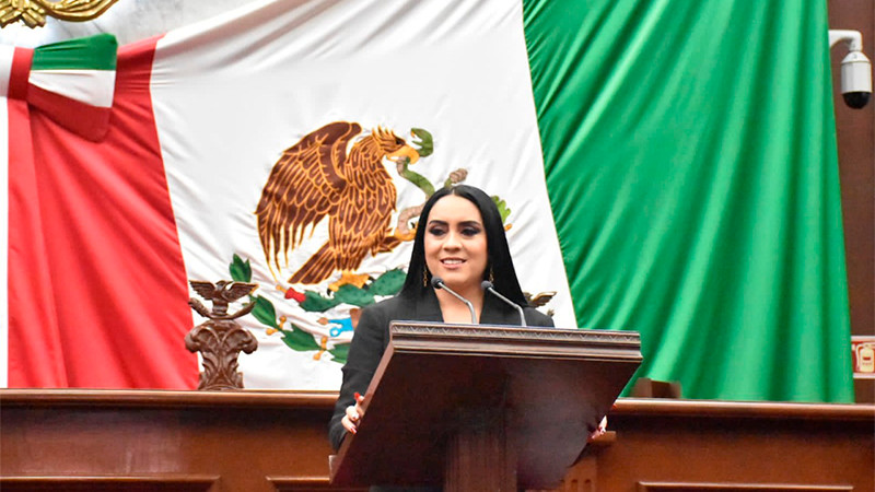 Presupuesto 2023 garantiza desarrollo integral de Michoacán: GP de Morena 