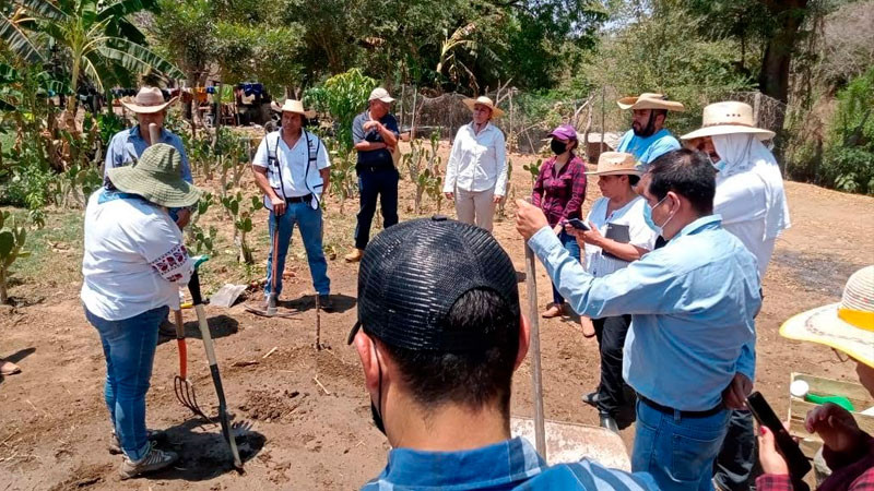 Respaldo al campo, una prioridad para el Gobierno de Michoacán  