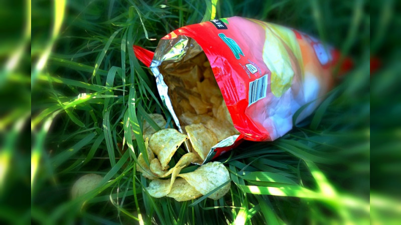 Comida Chatarra tiene la mayor alza de precios de los últimos 8 años: INEGI 