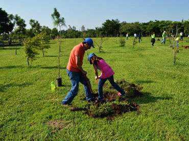 La UMSNH inicia programa de reforestación  
