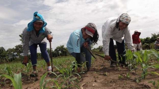 Abren nuevo crédito para campesinos 