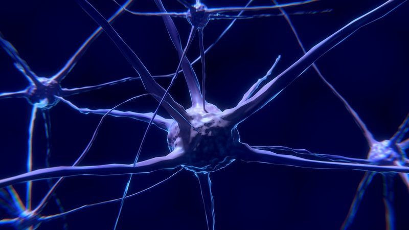 Muere otra paciente que participó en ensayo clínico de medicamento contra el Alzheimer 