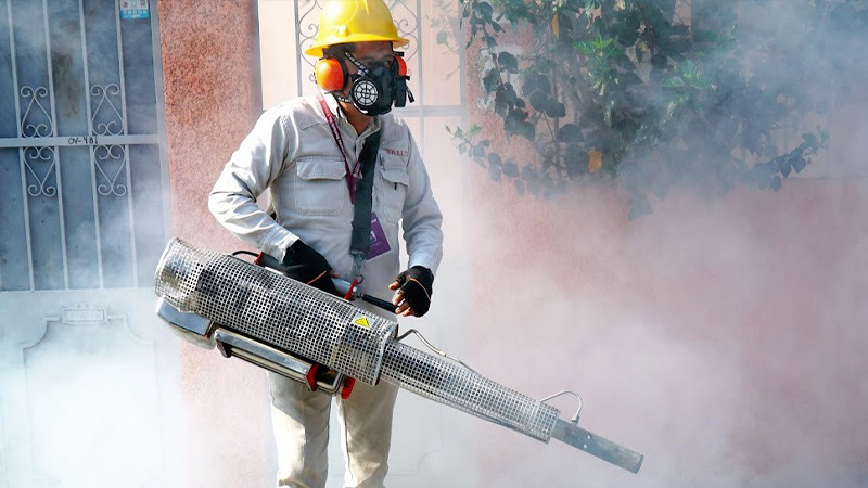 Primera semana del año, Michoacán con cero casos de dengue