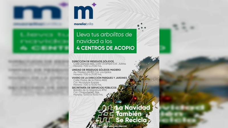 En Morelia lanzan campaña “La Navidad también se recicla”;elaborarán compost con pinos naturales para 