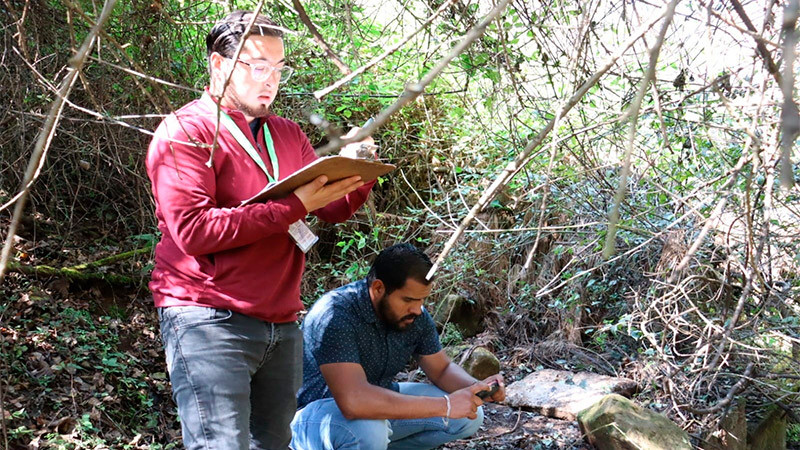 Autoridades ambientales atienden denuncia por tala en Atapaneo  