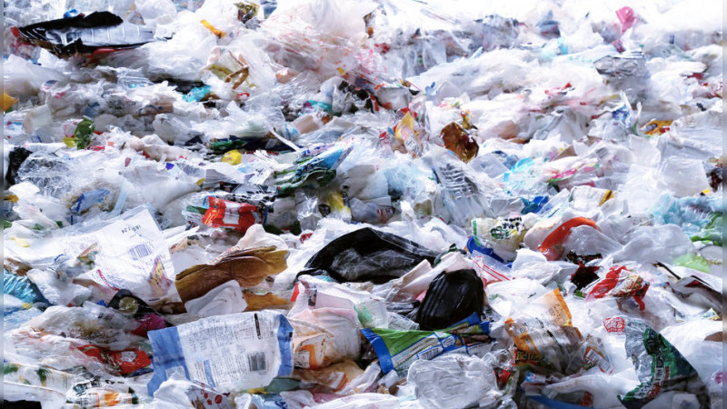 Pocos municipios realizan correcto manejo de residuos: PROAM 