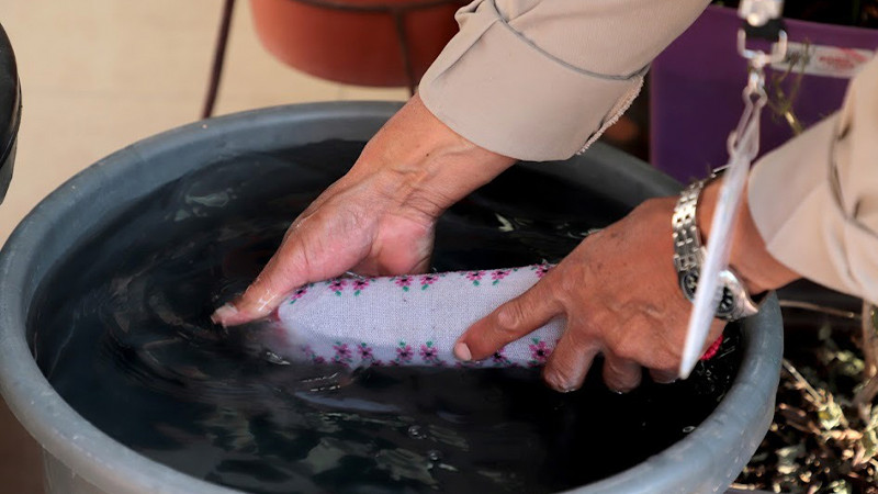 Michoacán, inicia 2023 con incidencia de casos de dengue por debajo de la media nacional