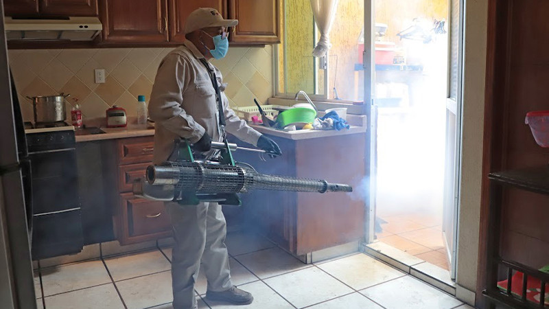 Michoacán, inicia 2023 con incidencia de casos de dengue por debajo de la media nacional