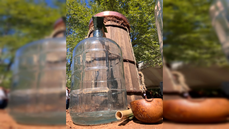 Gobierno de Michoacán impulsa la producción sustentable de mezcal 