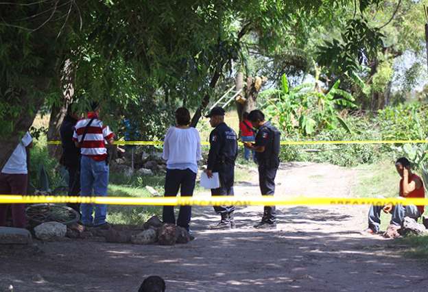 Muere al ser aplastado por un árbol en Tzintzuntzan, Michoacán 