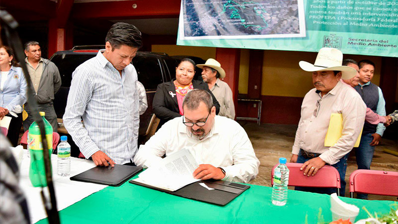 Gobierno de Michoacán prepara certificación ambiental para cultivo de aguacate    