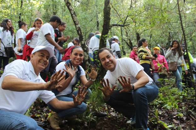 Realizan campaña de reforestación en Zitácuaro - Foto 0 