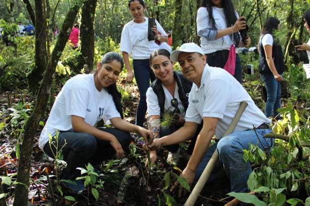 Realizan campaña de reforestación en Zitácuaro - Foto 1 