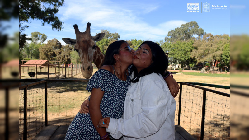 En Día del Amor, 45 parejas unen sus vidas en el Zoológico de Morelia