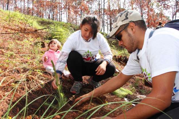 En Uruapan panistas y voluntarios iniciaron campaña estatal de reforestación “Amo mi Tierra” - Foto 0 