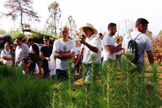En Uruapan panistas y voluntarios iniciaron campaña estatal de reforestación “Amo mi Tierra” - Foto 1 