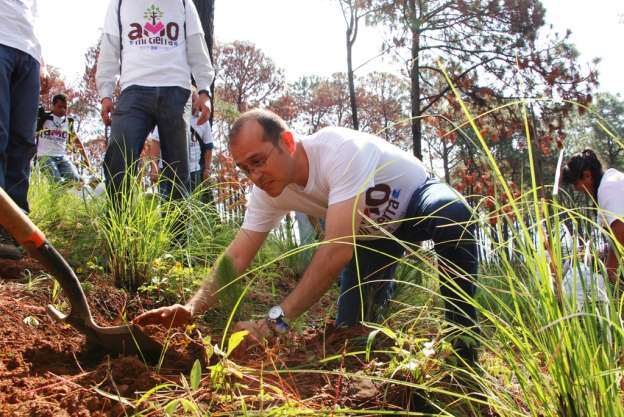 En Uruapan panistas y voluntarios iniciaron campaña estatal de reforestación “Amo mi Tierra” - Foto 2 