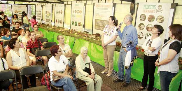 Abren Exposición de Hongos de Morelia - Foto 0 