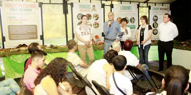 Abren Exposición de Hongos de Morelia - Foto 1 