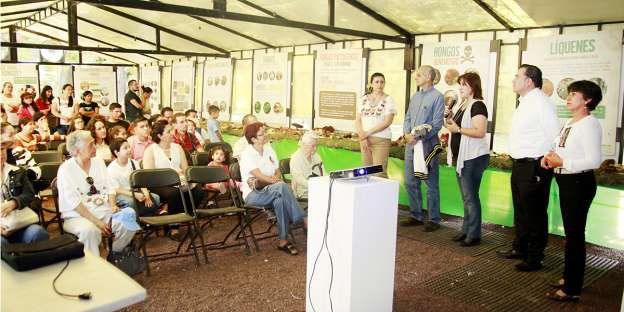 Abren Exposición de Hongos de Morelia - Foto 2 