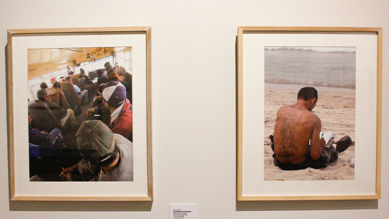 Invita Secum a disfrutar últimos días de 3 exposiciones en el Clavijero