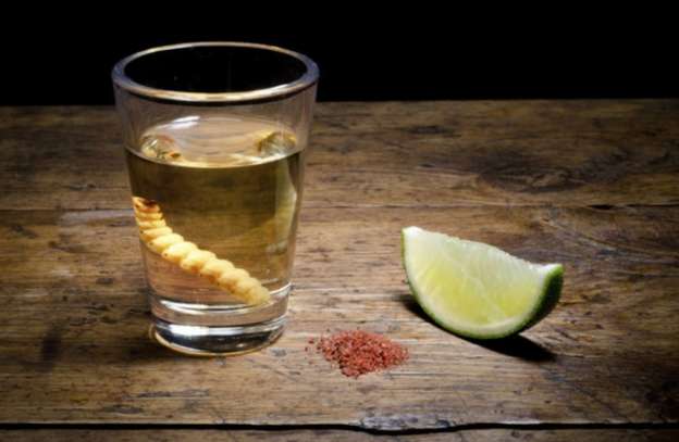 Gobierno de Michoacán promete apoyo para Encuentro Mezcalero  