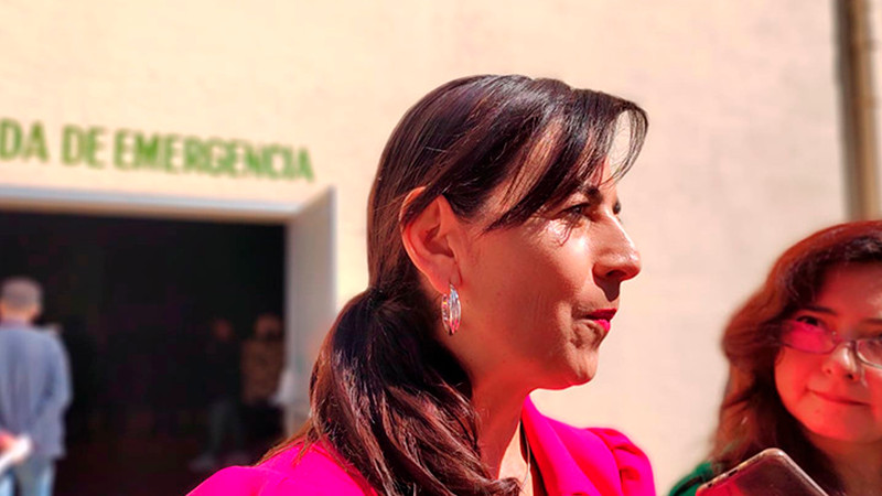 Desertan 20 mil estudiantes entre nivel secundaria y media superior: Gabriela Molina  