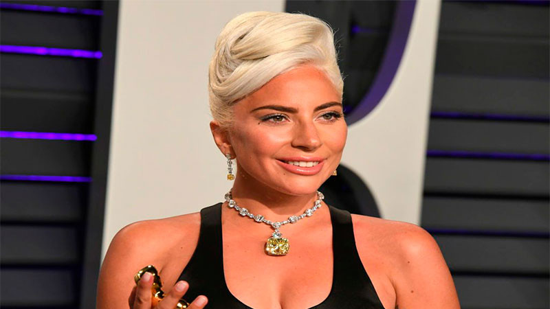 Demandan a Lady Gaga por no pagar recompensa de sus mascotas robadas 