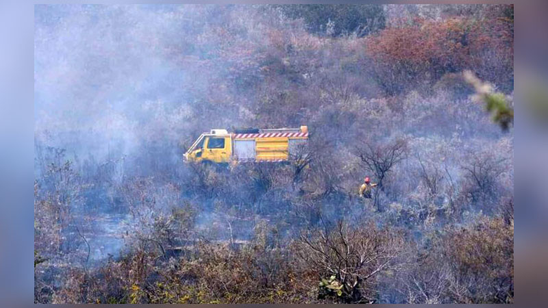 Incendio en bosque La Primavera fue intencional: Fiscalía de Jalisco