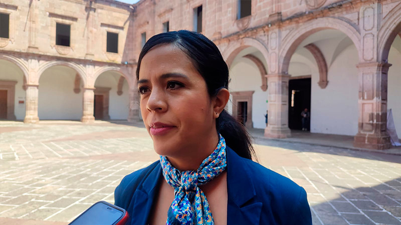 Faltan acciones de inclusión en espacios culturales de Michoacán, reconoció SECUM 