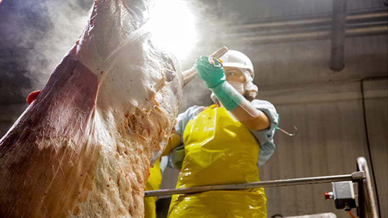 Establece Senasica requisitos para importación segura de carne de res de Brasil 