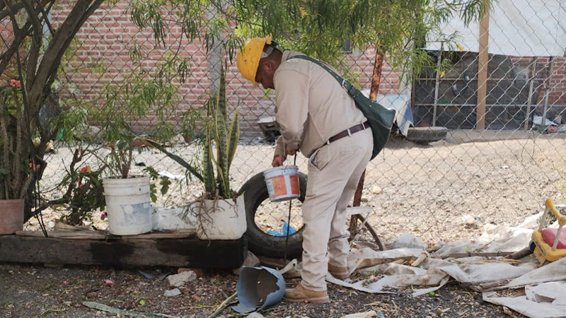 Combate Salud Michoacán dengue, zika y chikungunya, en Huetamo 