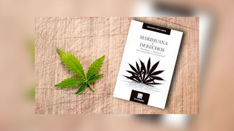 Legalizar la marihuana no reducirá la venta ilegal, solo aumentará el consumo 