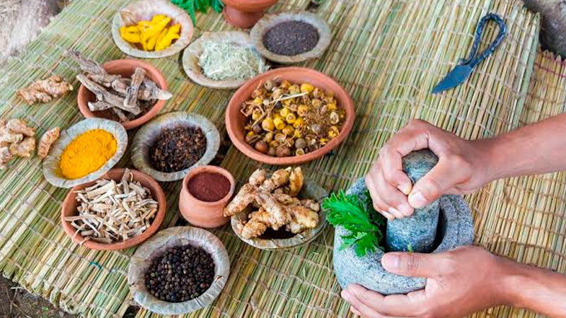 Gobierno de México incluye medicina tradicional en Plan de Salud IMSS Bienestar 