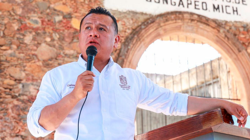 Va Gobierno de Michoacán por responsables de cortes carreteros: Torres Piña 