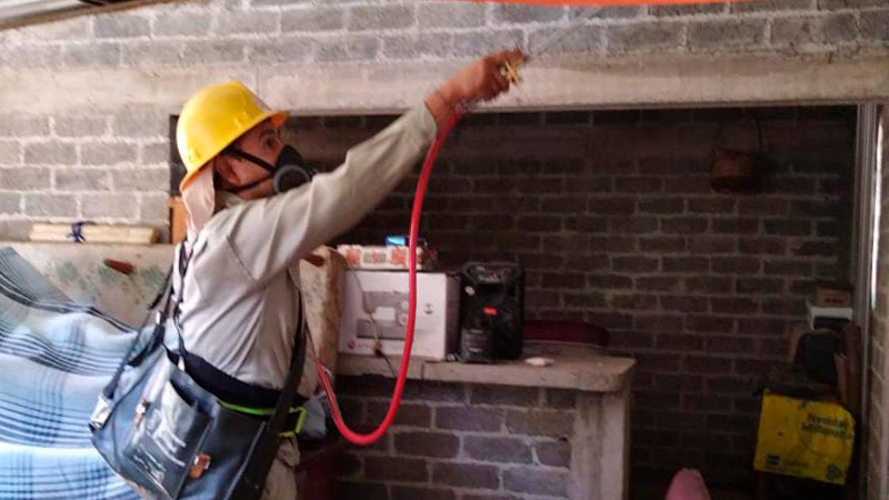 Salud Michoacán refuerza acciones contra enfermedad de Chagas, en Tacámbaro