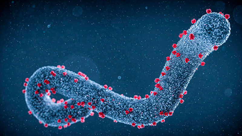 Tanzania detecta primeros casos del virus de Marburgo 