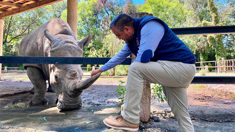 Aún sin planes para reubicar ambulantes del zoológico de Morelia: Medina Ávila 