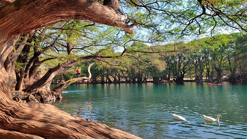 Vigila Proam que obra en Lago de Camécuaro cumpla con ley ambiental 