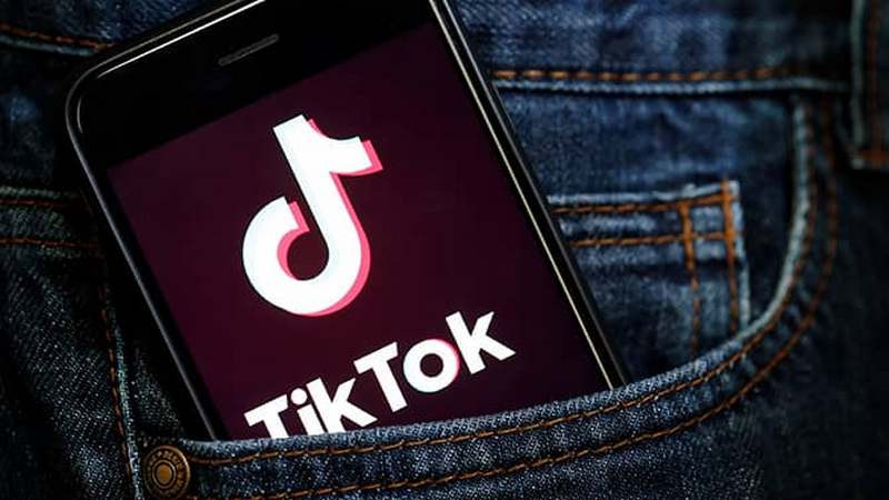 Francia se une al veto de TikTok en aparatos gubernamentales; suman a Candy Crush y Netflix a la prohibición 