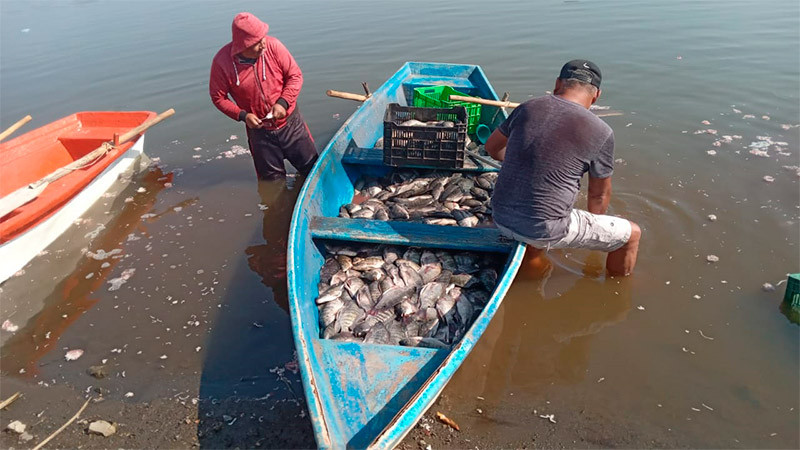 Comercializadas, 80 toneladas de pescados y mariscos por Cuaresma: Compesca 