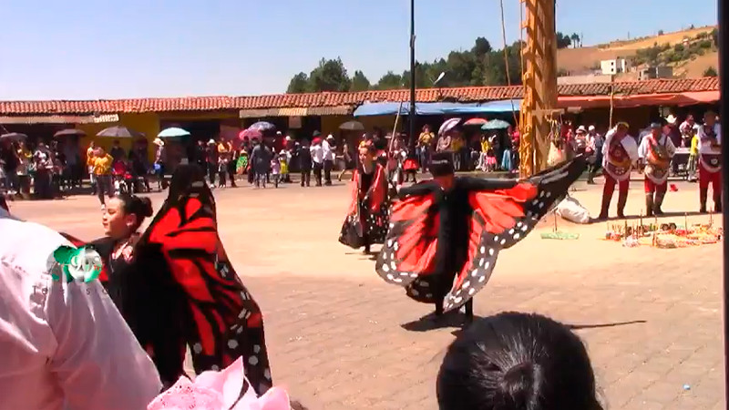 Culmina Festival de la Mariposa Monarca en Ocampo, Michoacán 