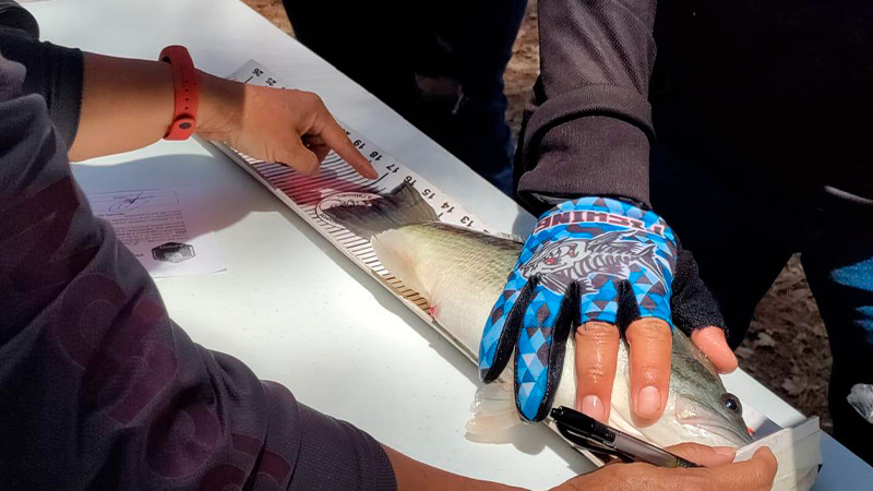 Compesca, comprometida con actividades pesqueras y recreativas