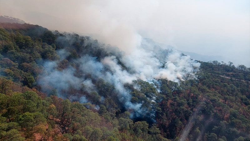 Liquidan incendio forestal en Cotija, reporta Cofom 