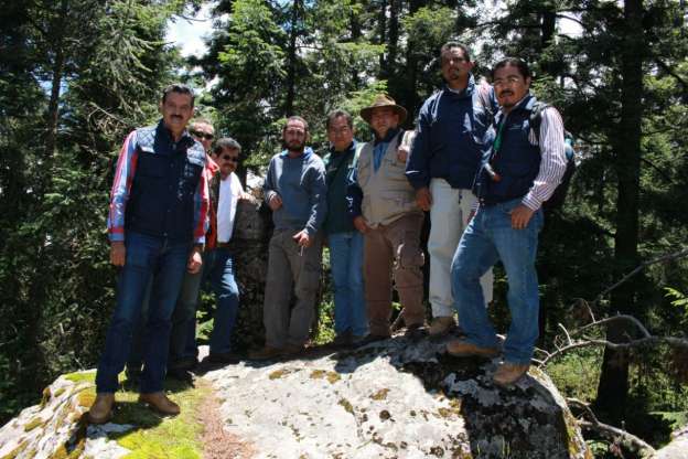 Instituciones unen esfuerzos para restaurar polígonos dañados en Reserva de la Biósfera de la Mariposa Monarca - Foto 0 