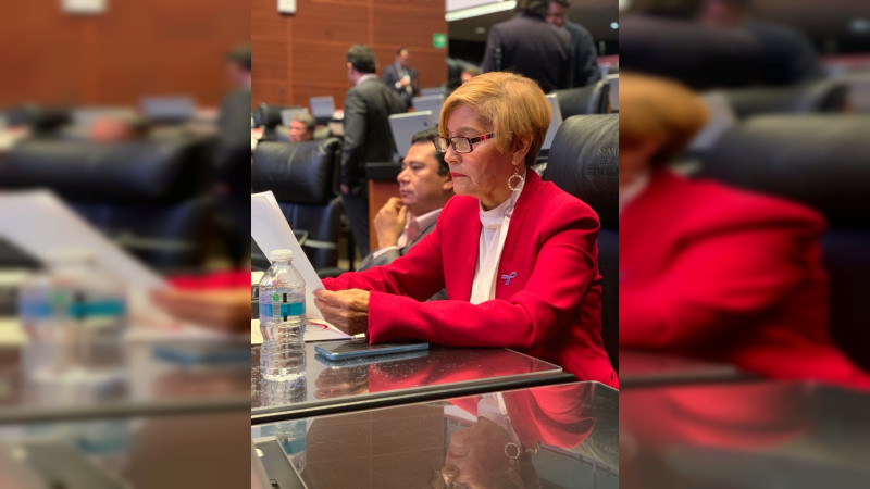 Todo el peso de la ley a responsables de la tragedia de Ciudad Juárez, exige la senadora Blanca Piña 