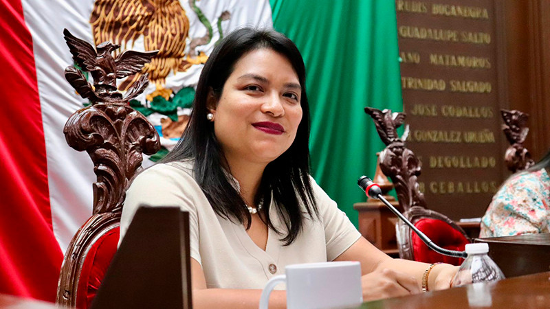 Propone Eréndira Isauro, crear listado de personal de seguridad pública y privada sancionado 